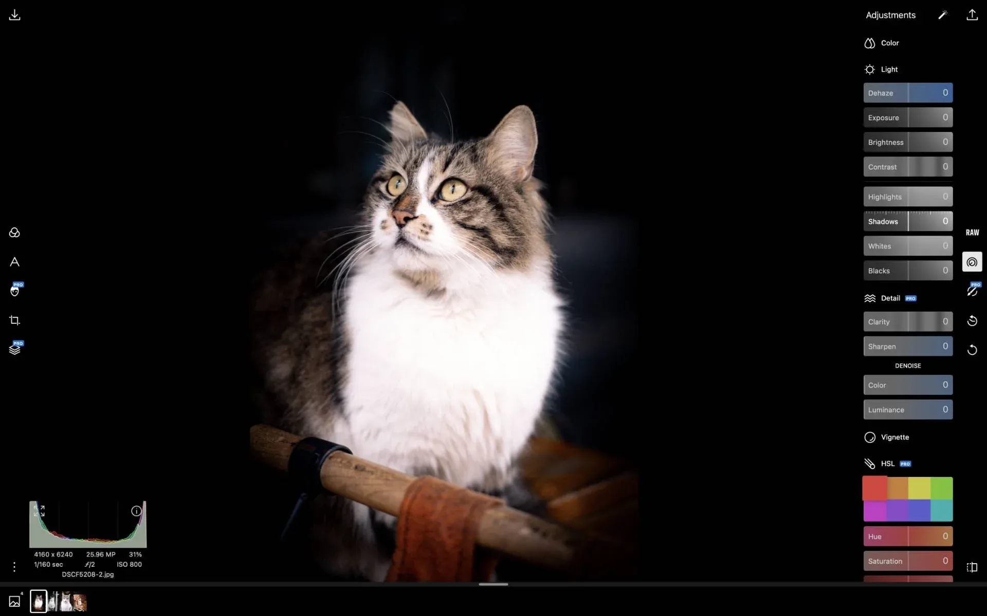 Screenshot der Polarr Fotobearbeitungssoftware mit einem offenen Bild und einer einfachen Benutzeroberfläche