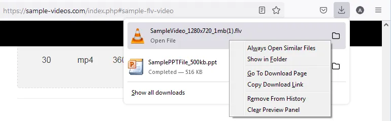 Screenshot des Download-Panels in Mozilla Firefox 98.0, das die optimierte Dateiverwaltung und neue Optionen zeigt.