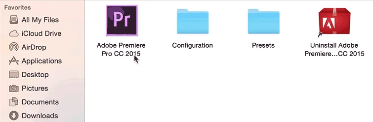 Screenshot des Menüs "Paketinhalt anzeigen" in Premiere Pro