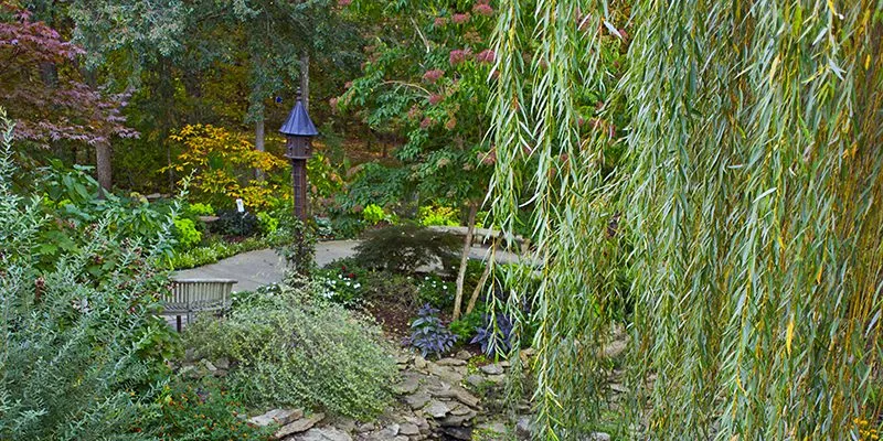 Seerosenteich im Overland Park Arboretum