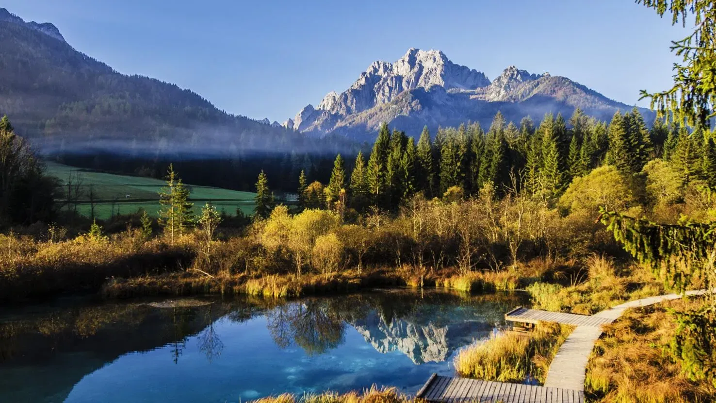 Smaragdgrüner Zelenci See in Slowenien, umgeben von herbstlichen Bäumen und Bergen