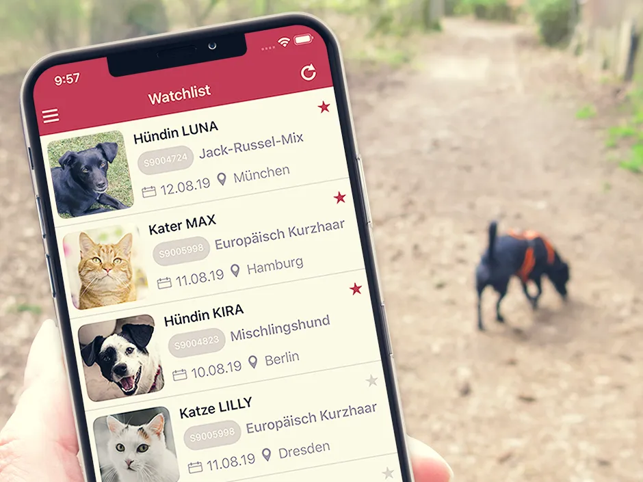 Smartphone zeigt die TASSO-App mit Suchmeldungen für vermisste Tiere