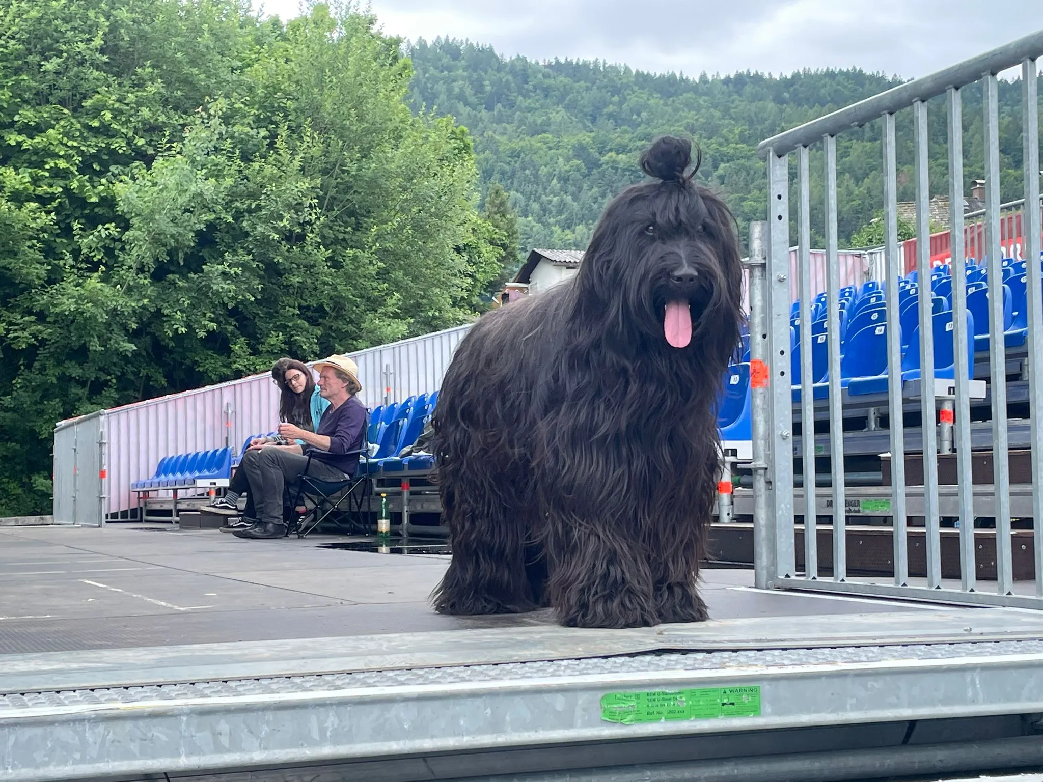 Sommerabenteuer mit H-Wurf