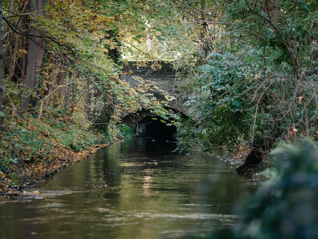 Stadtbach Kräutergarten