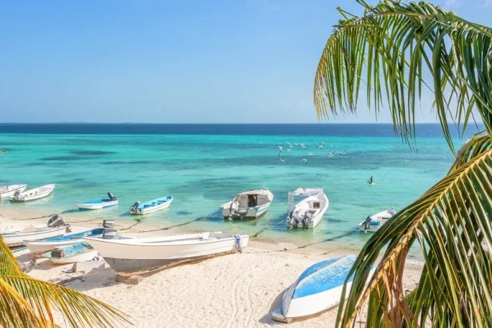 Strand mit weißem Sand und mehreren Booten im flachen, türkisfarbenen Wasser. Im Vordergrund Palmenzweige, darüber blauer Himmel. Möwen fliegen über dem Meer.