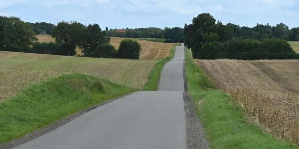 Straße auf Fehmarn mit Küstenblick