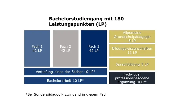 Struktur des Bachelorstudiengangs "Bildung an Grundschulen" mit Leistungspunkten