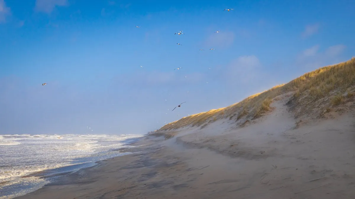 Sylt Strand mit Nordsee-Feeling