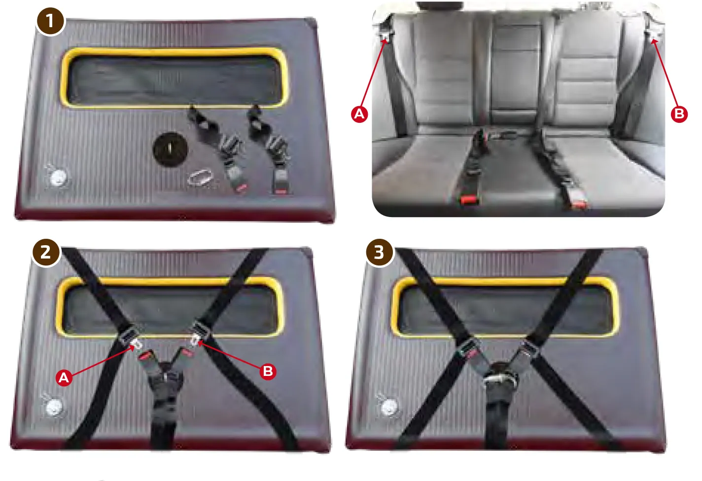 TAMI Hundebox auf dem Rücksitz eines Autos mit einem Labrador
