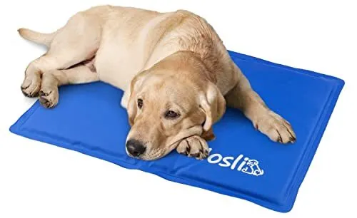 Testsieger: Nosli Kühlmatte für Hunde und Katzen bietet starke Kühlleistung und hohe Qualität.