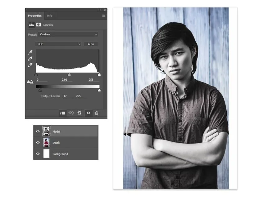 Tonwertkorrektur, um die Helligkeit des entsättigten Fotos anzupassen