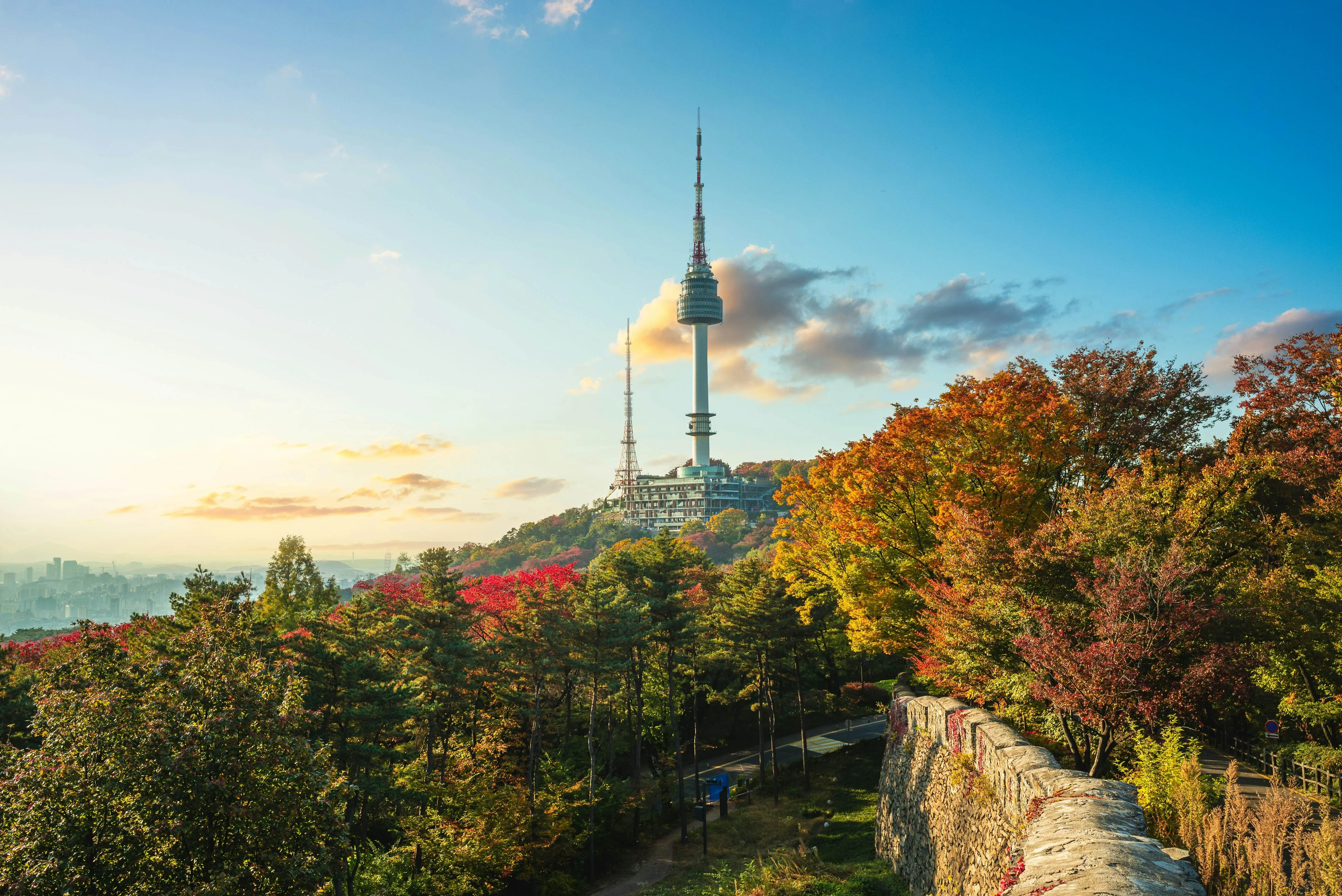 Turm ragt aus Bäumen im Herbst hervor