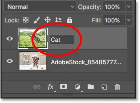 Umbenennen der obersten Ebene im Ebenenbedienfeld.