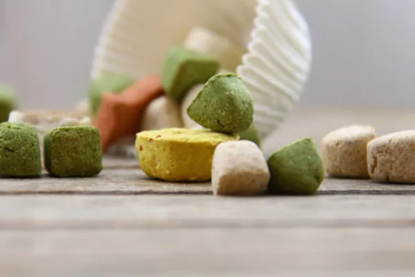 Veganes Trockenfutter für Katzen in einer Schale