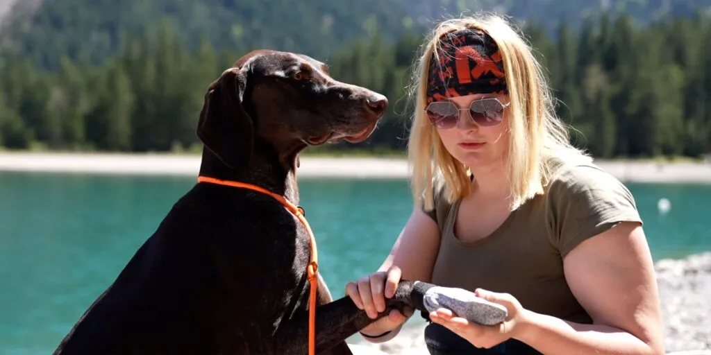 Verschiedene Hundebooties für diverse Sportarten und Einsatzgebiete im Überblick