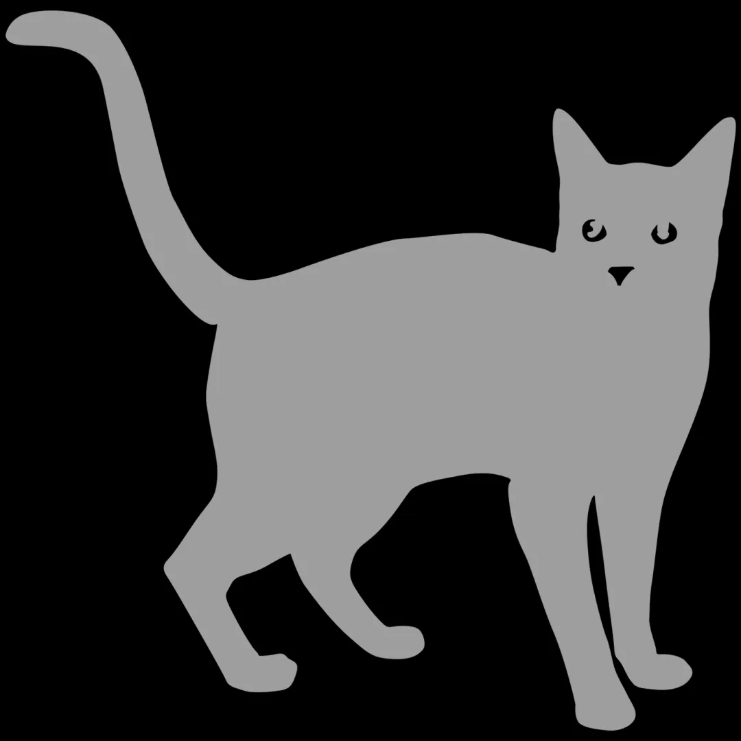 Verschiedene Schwanzpositionen einer Katze: Freude, Angst und Aggression