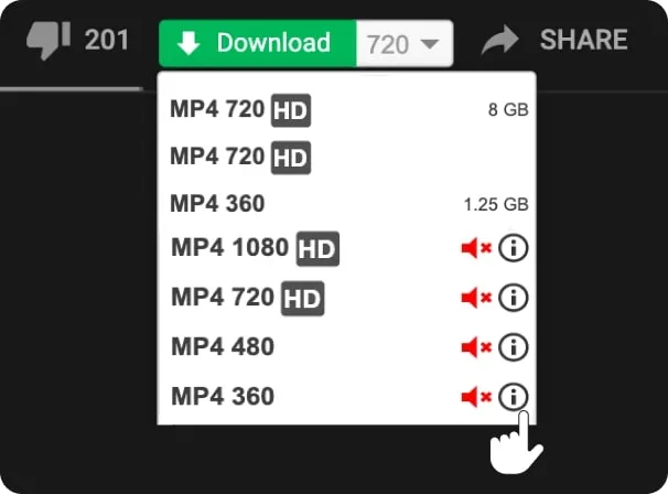 Verwende den YT Downloader, um Videos auf deinen PC downloaden - 3