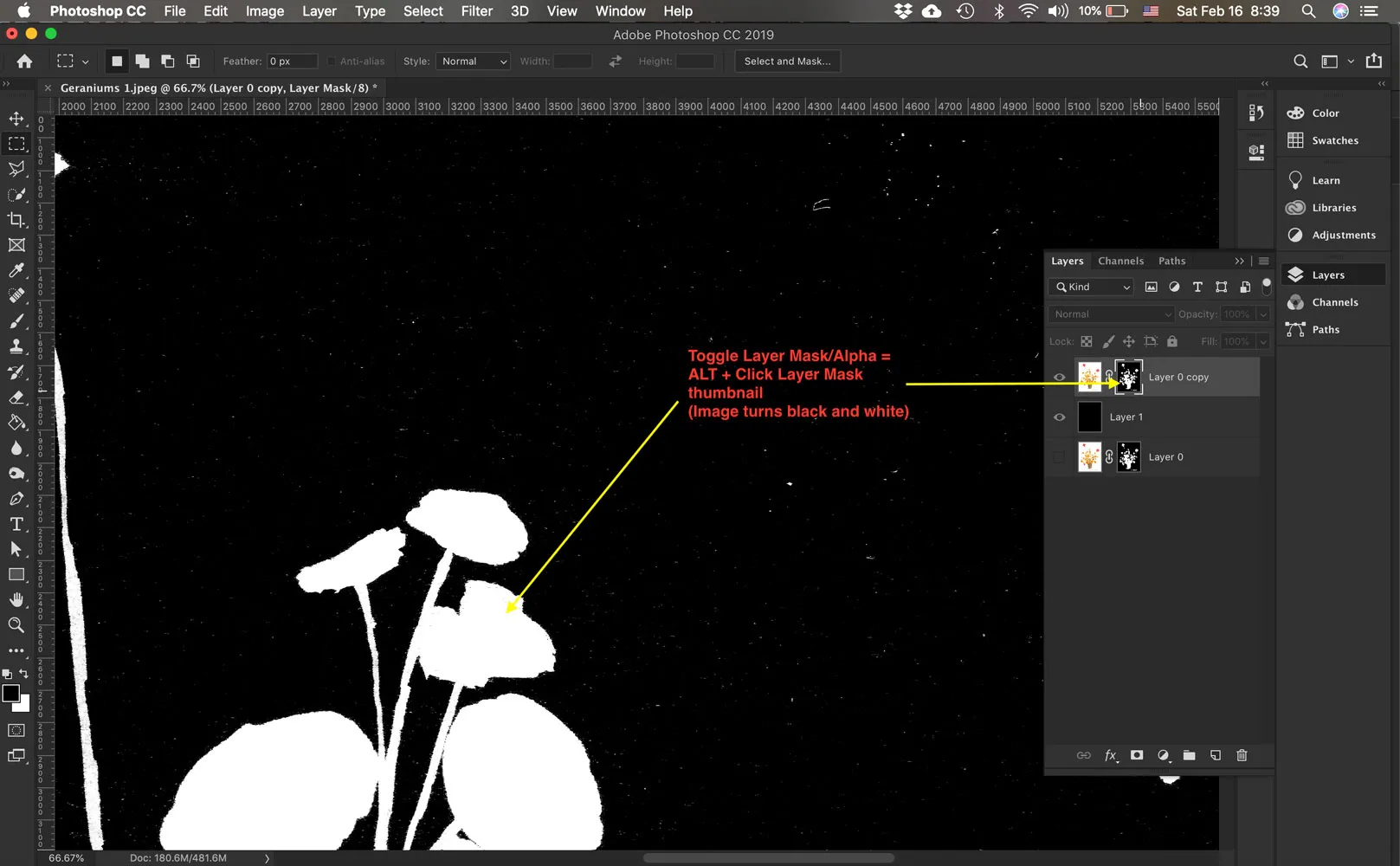 Vollbildansicht der Ebenenmaske, um Staub und kleine Flecken deutlich zu erkennen