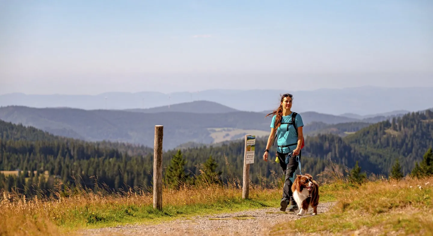 Wanderin und Hund auf einem sonnigen Wanderweg umgeben von blühenden Sommerwiesen