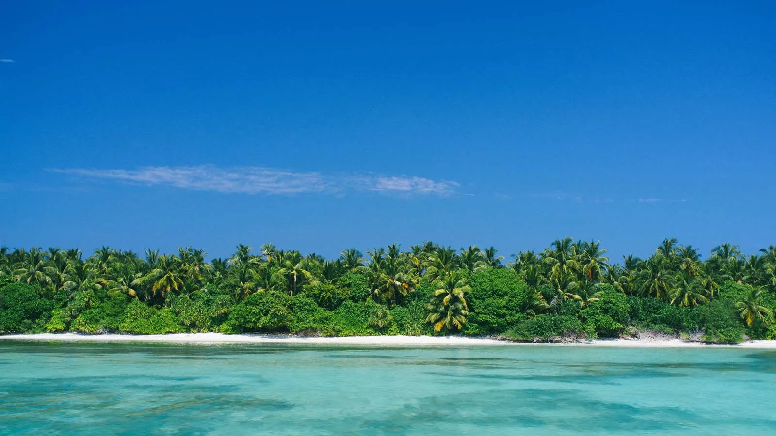 Weiße Sandstrände und kristallklares Wasser, die typische Kulisse für die paradiesischen Malediven.