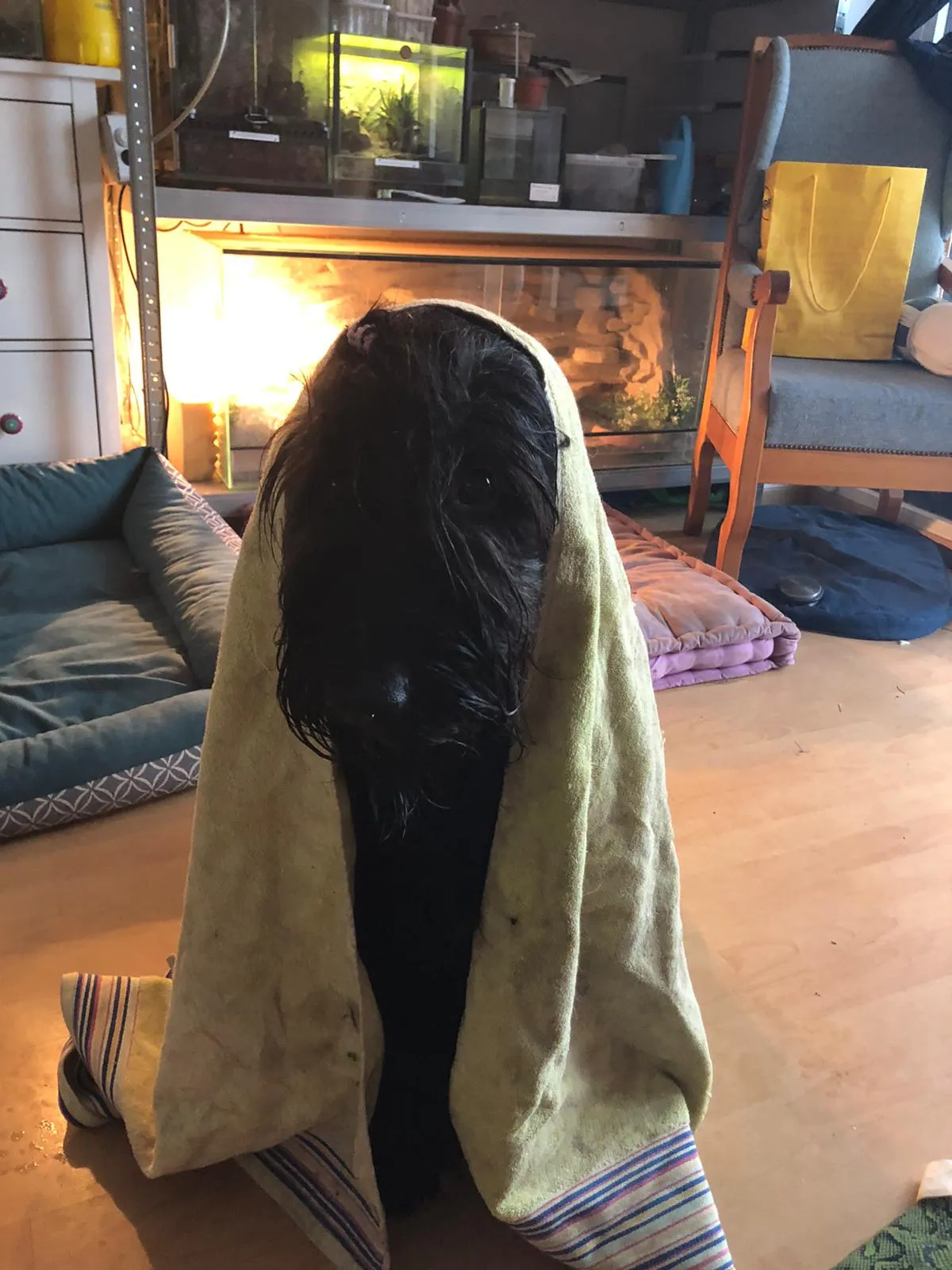 Weitere Bilder aus dem H-Wurf