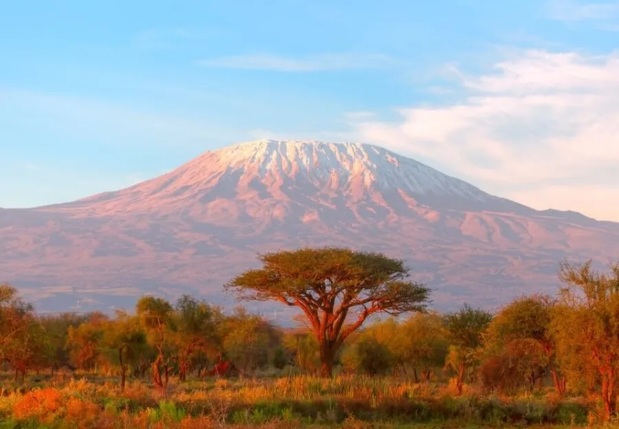 Wildtiere am Wasserloch während der Großen Tierwanderung in Tansania im August