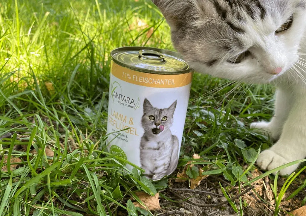 Xantara Katzenfutter mit Lamm und Geflügel