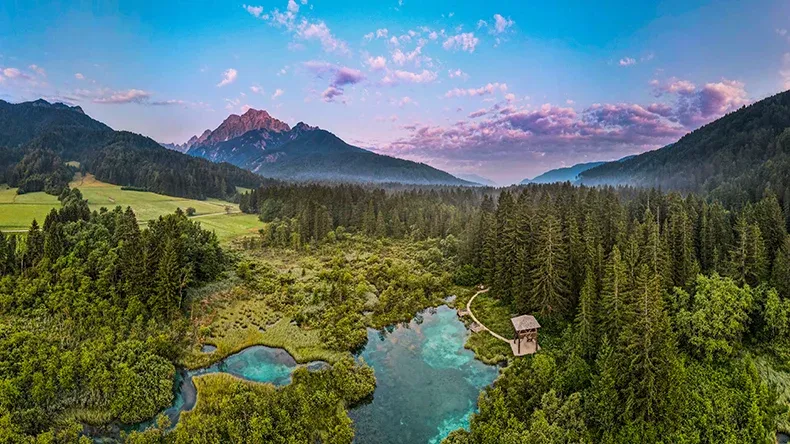 Zelenci Naturreservat Slowenien