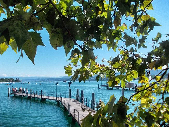 Zürichsee mit Herbstblättern