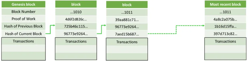 Zwei Bitcoin-Blöcke mit derselben Blockhöhe in einem Blockchain-Diagramm