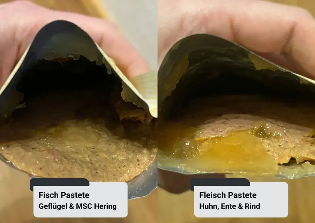 Zwei geöffnete Beutel Coshida Katzenfutter, die Konsistenz und Farbe zeigen