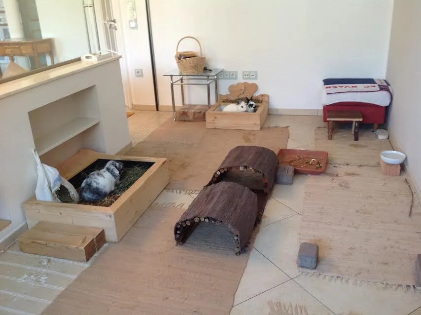 Zwei Kaninchen in einem großzügigen Wohnungsgehege mit viel Platz zum Hoppeln