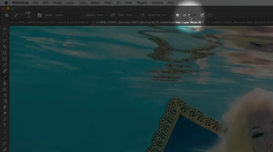 Anpassen der Bürsteneinstellungen