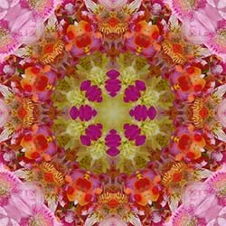 Bilddesigns spiegeln und drehen