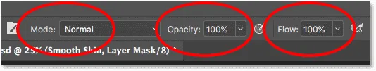 Die Optionen Modus, Deckkraft und Fluss für das Pinsel-Werkzeug.