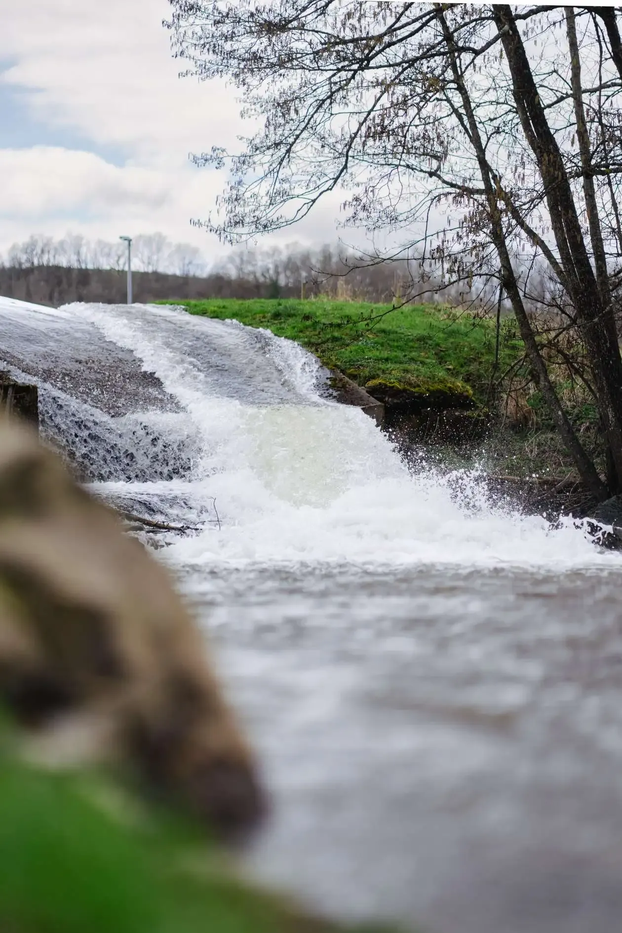 Ein Verkaufsstand auf einem Wochenmarkt mit frischen Broten.