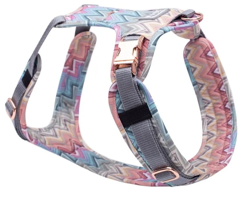 Emmy Pepe Hundegeschirr