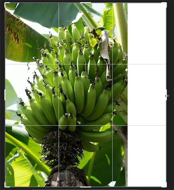 Erweiterung eines Fotos mit Generative Fill