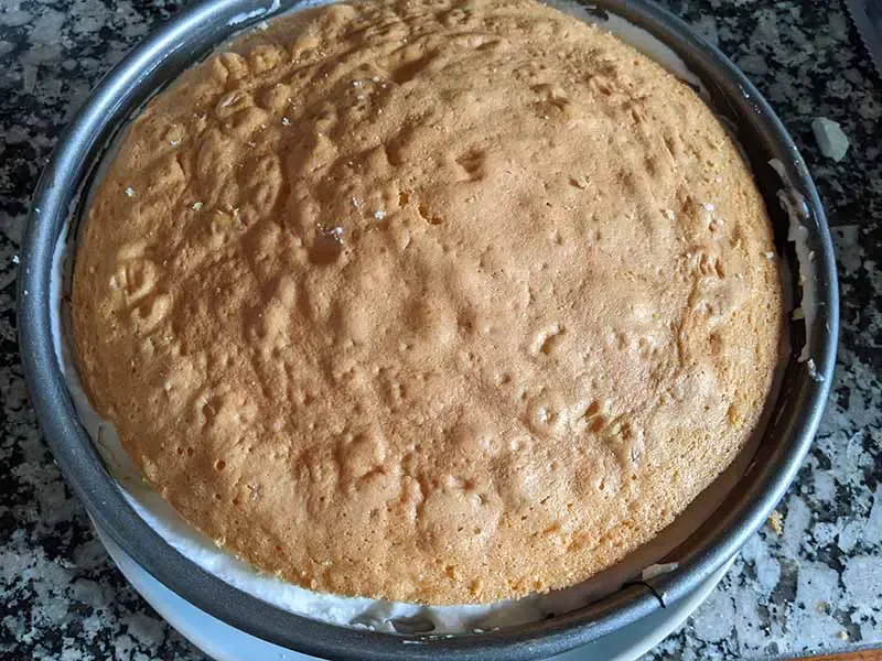 Käse Sahne Torte kühlen