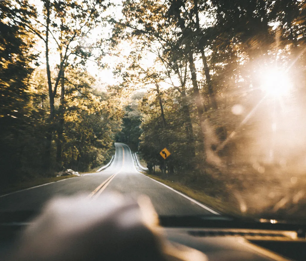 Leere, von Bäumen gesäumte Straße in Abbotsford BC