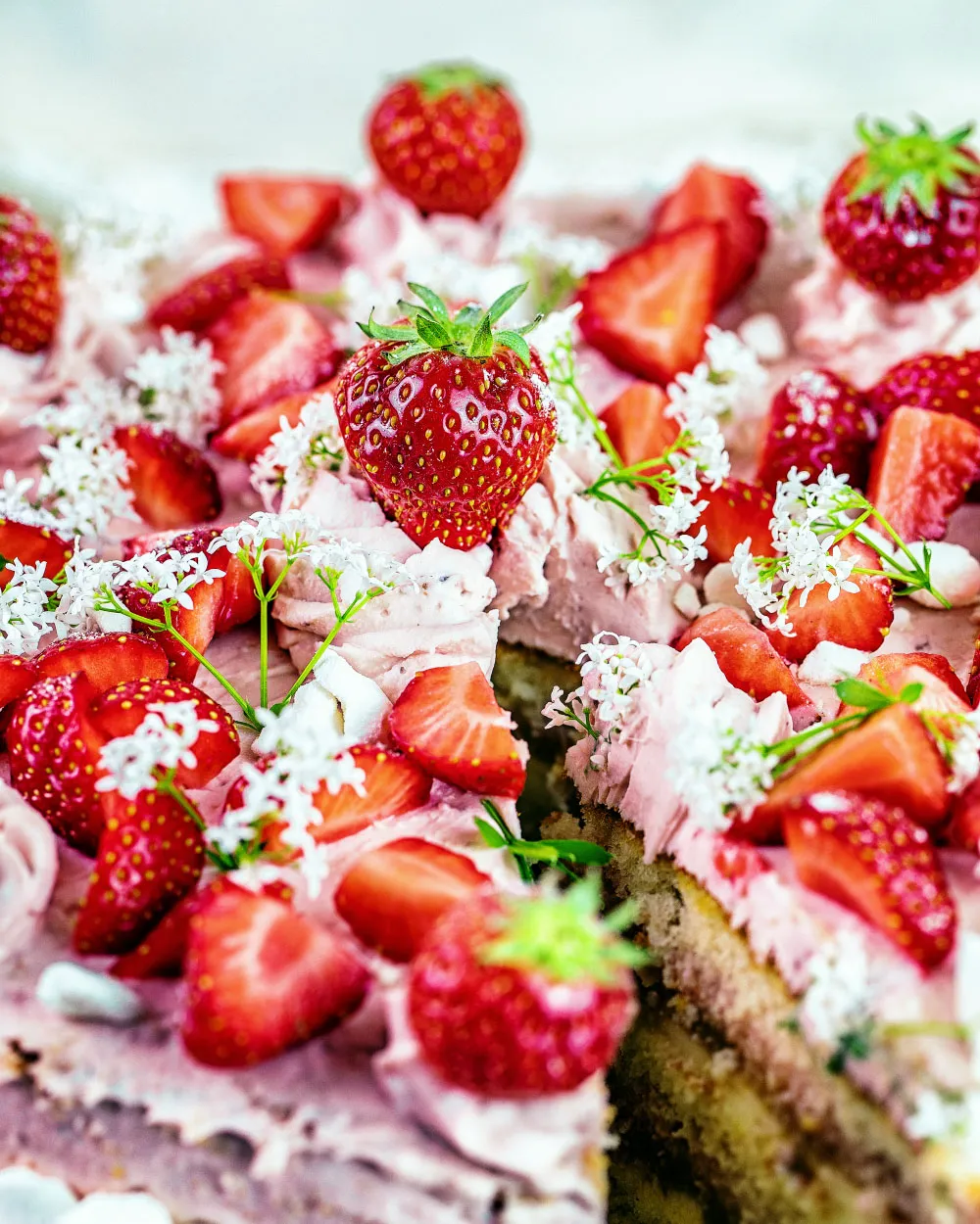 Rharbarber-Erdbeer-Pudding-Torte- einfaches Rezept mit fertigen Böden