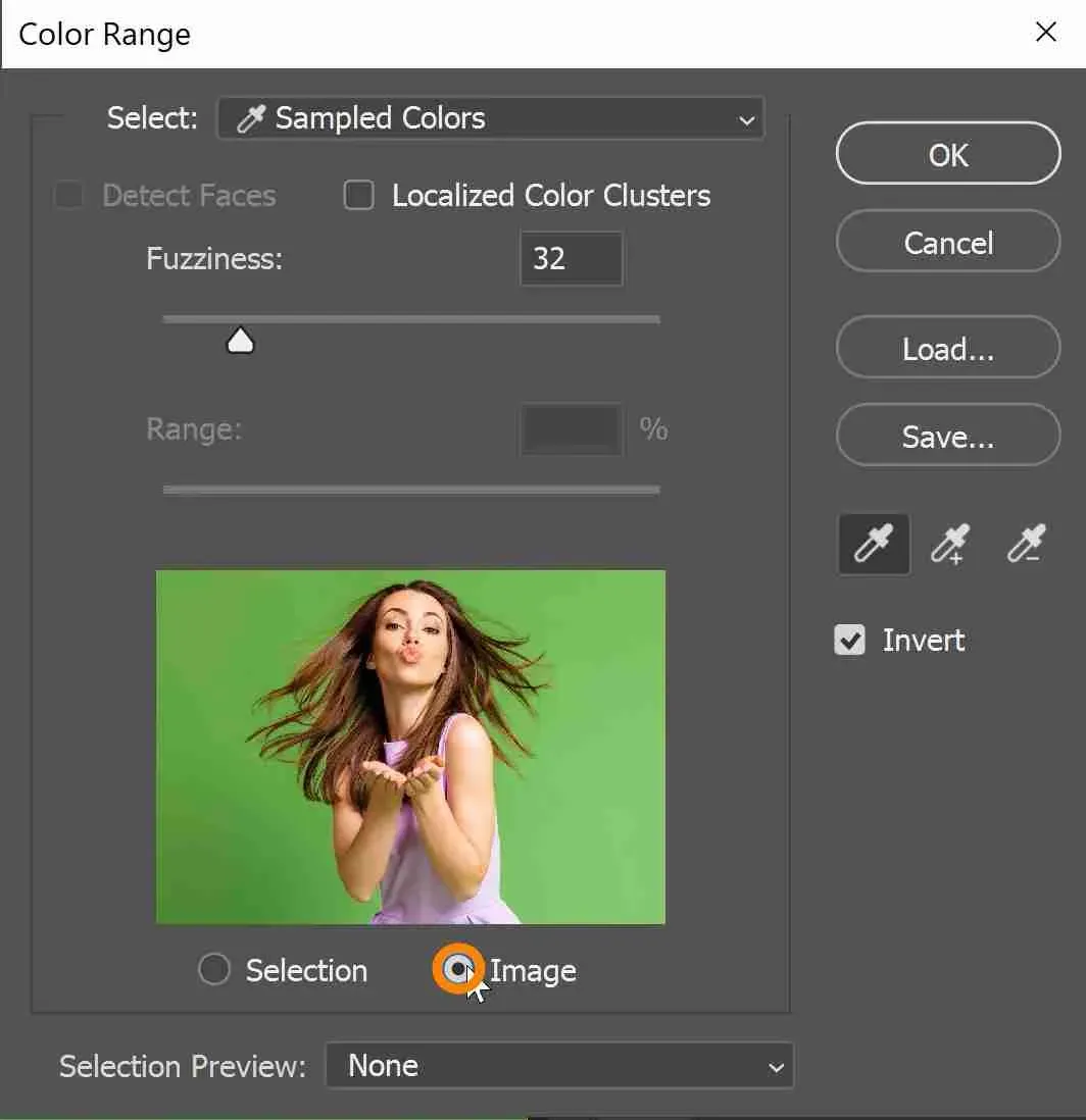 Vorschauoptionen im Farbbereich-Dialog