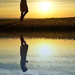 Wasserreflexionseffekt