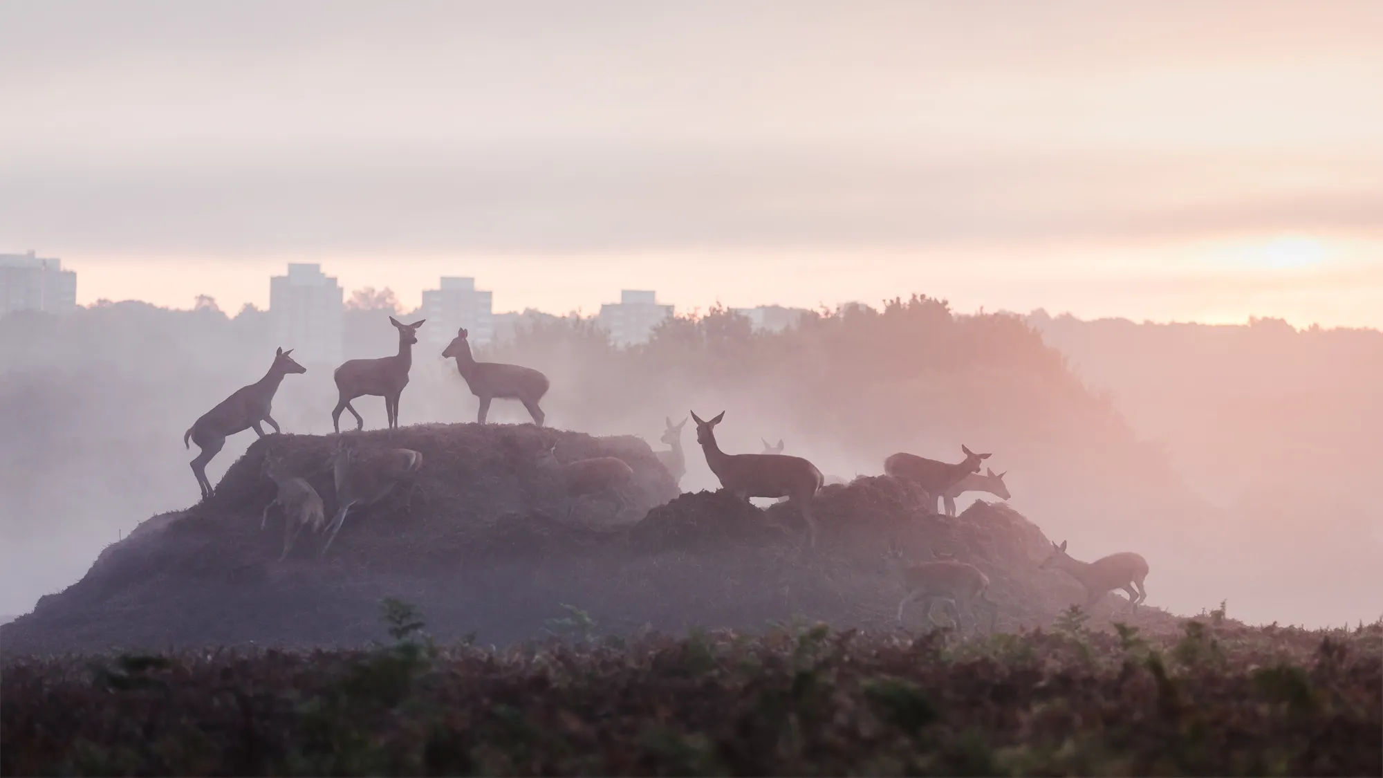 5 Techniken zur Farbkorrektur in Photoshop