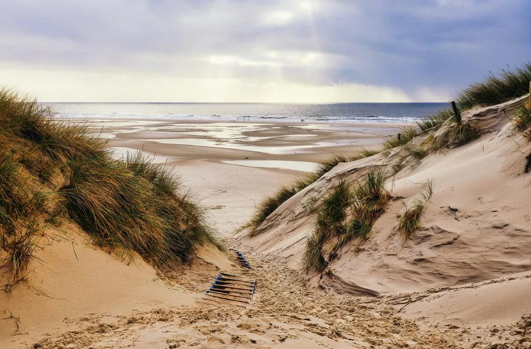 Amrum Nordsee Insel