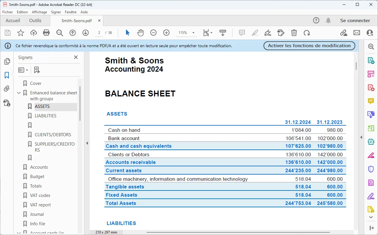 Archivierung der Bilanz im PDF-Format