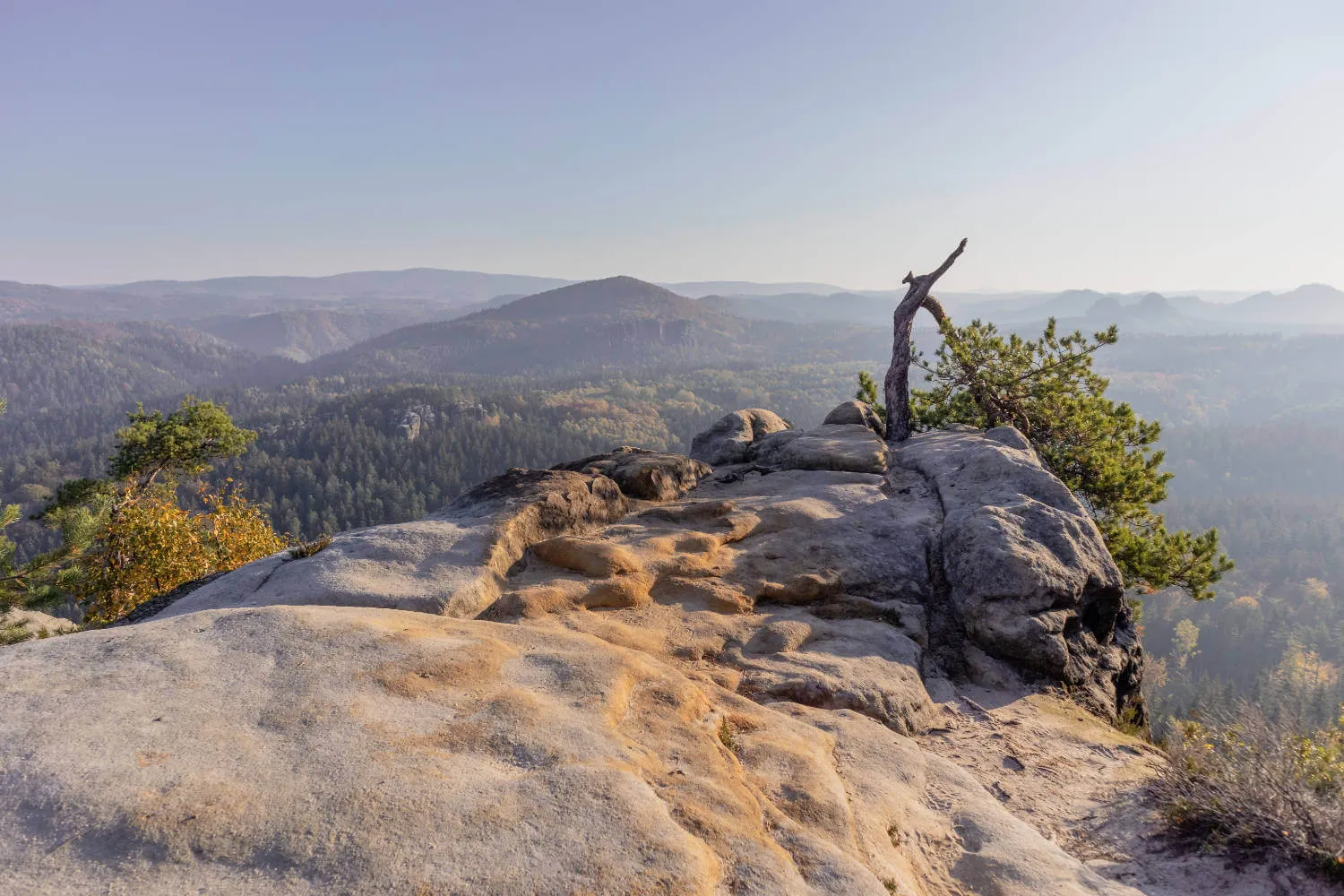 Aussicht in der Sächsischen Schweiz