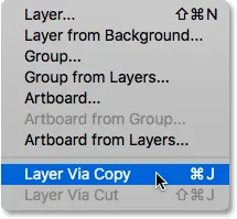Auswählen des Befehls Neue Ebene durch Kopie aus dem Menü Ebene.