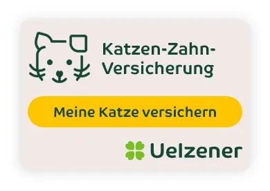Banner Katzen-Zahn-Versicherung