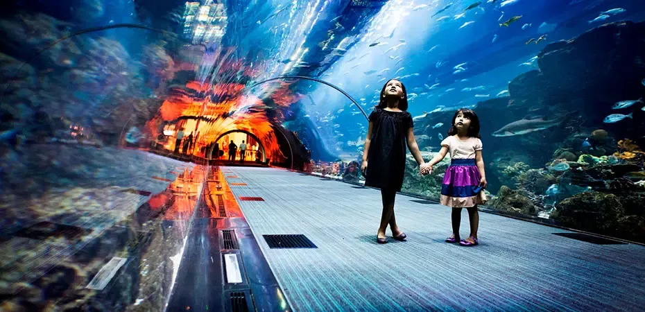 Beeindruckende Unterwasserwelt im Atlantis The Palm